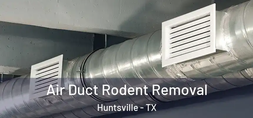  Air Duct Rodent Removal Huntsville - TX
