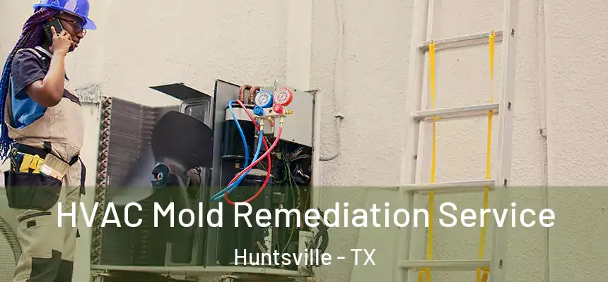 HVAC Mold Remediation Service Huntsville - TX