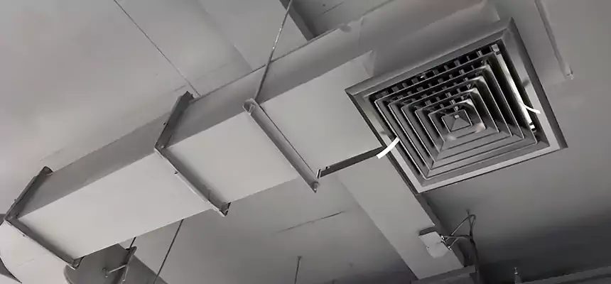 Restorative Allergy Relief Vent Cleaning – Coil, Blower & Housing Detail in Huntsville