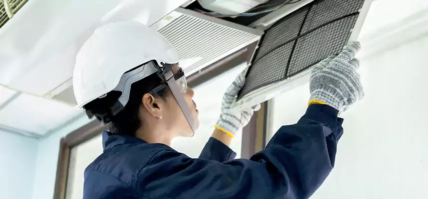 Our Mold & Mildew Removal from Air Ducts Services in Huntsville, TX