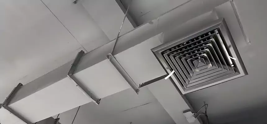 Our Rodent Droppings In Vents Services in Huntsville, TX