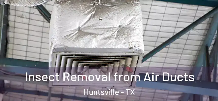  Insect Removal from Air Ducts Huntsville - TX