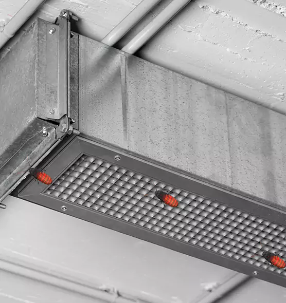 About Air Duct Cockroach Removal in Huntsville, TX