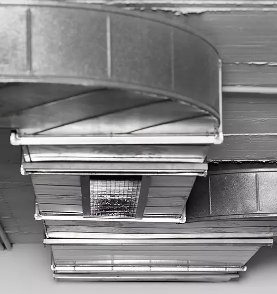 Professional Air Duct Pest Removal in Huntsville, TX