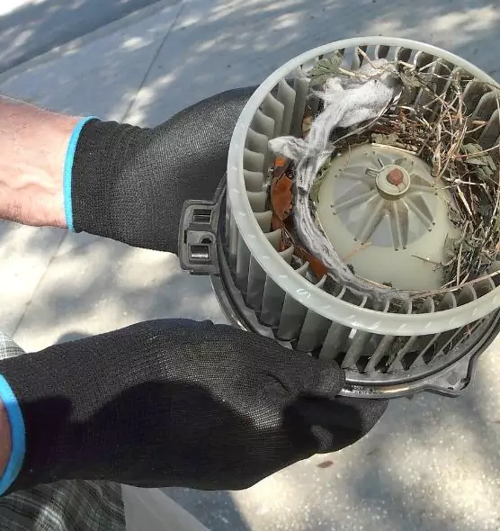 About Air Duct Rat Removal in Huntsville, TX