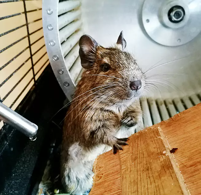 Why Homeowners & Businesses Trust Us Huntsville, TX